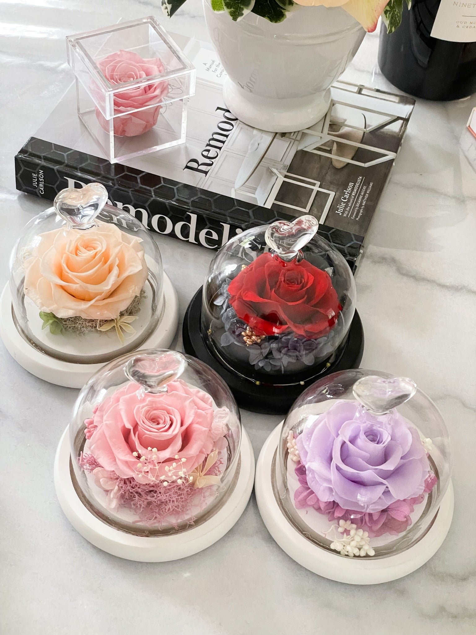 Collection – Dome Rose espoirboston