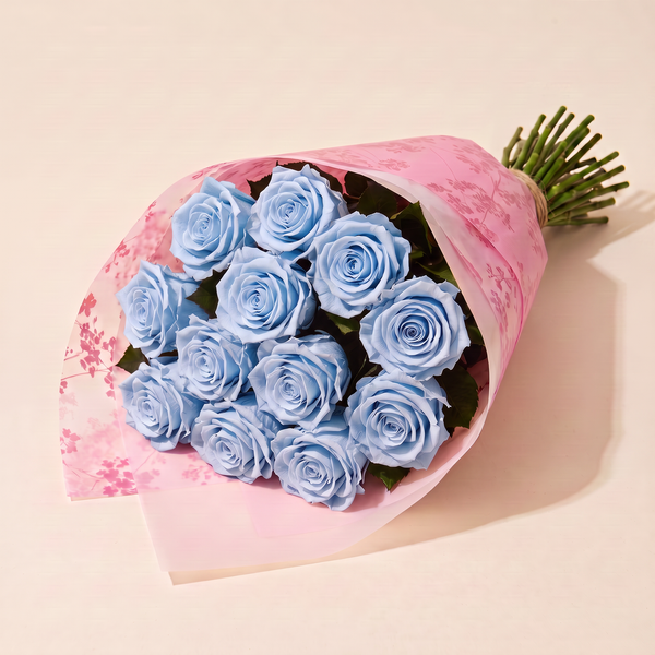 Dozen preserved roses in pink floral wrap - Light Blue