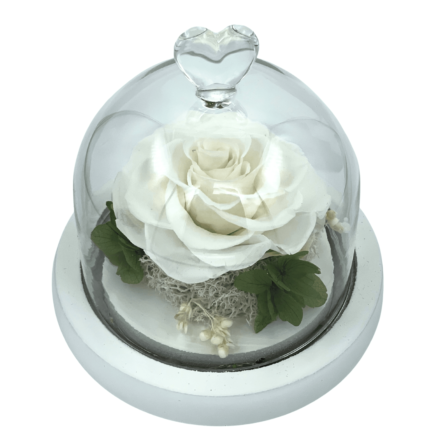 White Preserved Rose in Heart Tipped Glass Dome