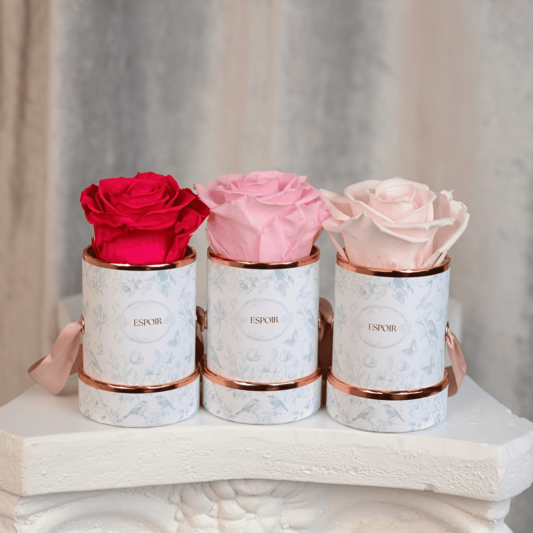 Toile d’Espoir Tea Cup Rose