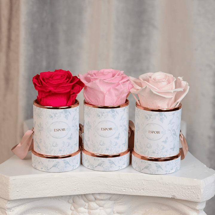 Toile d’Espoir Tea Cup Rose