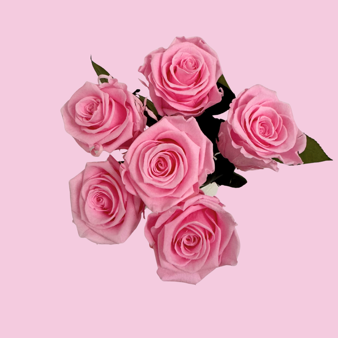 Preserved Roses in Ceramic Vase with Hand-Painted Hearts for Valentine’s Day