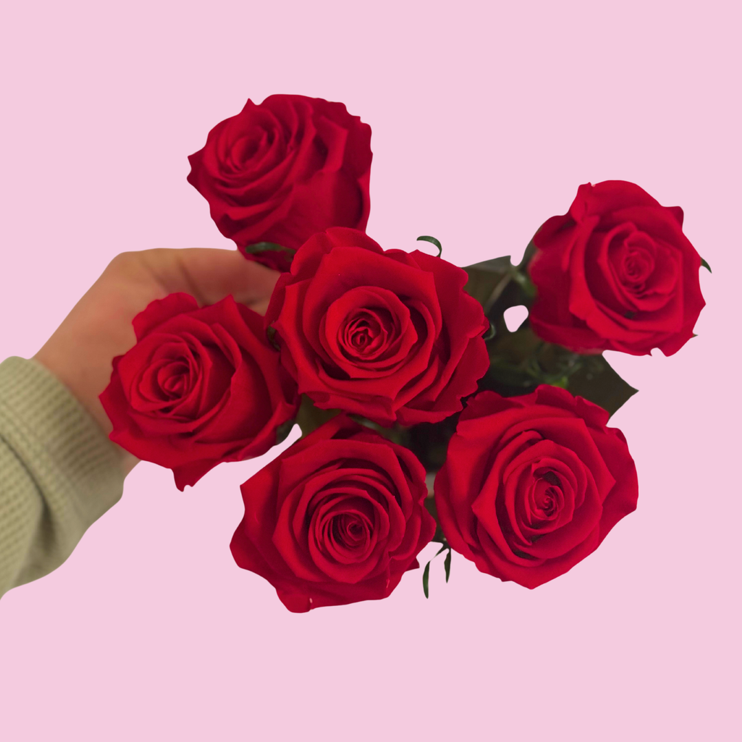 Preserved Roses in Ceramic Vase with Hand-Painted Hearts for Valentine’s Day