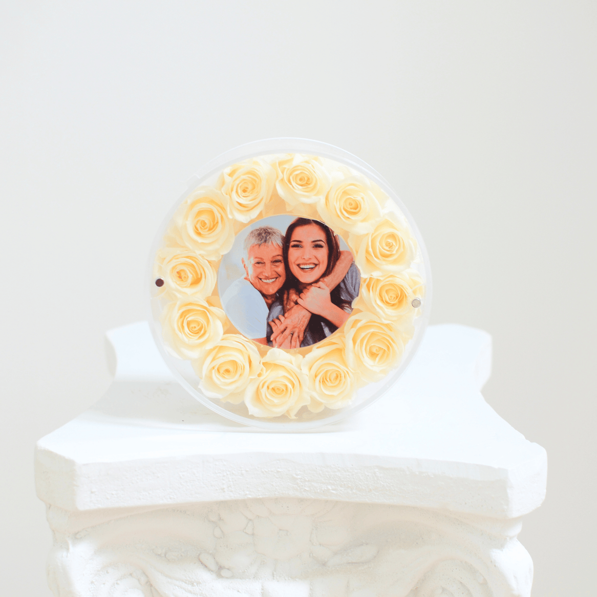 cream preserved roses inside of an acrylic round picture frame