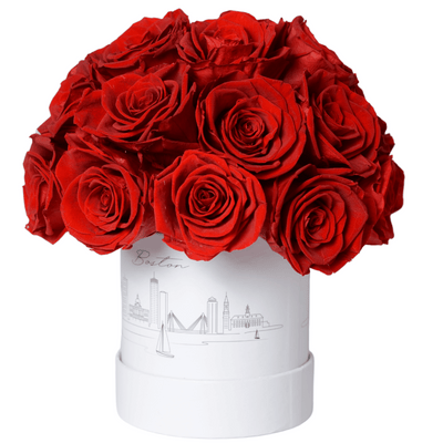 Boston Forever Rose Ball - Preserved Roses with Boston Skyline Design