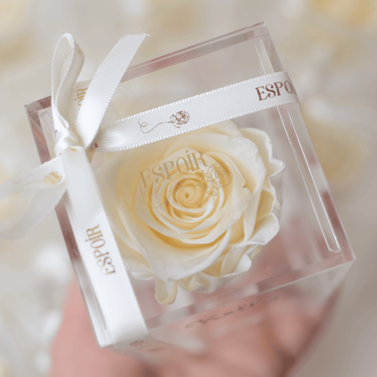 Serenity Rose Jewelry box