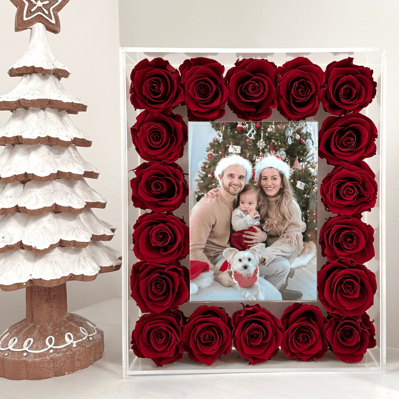 Infinite Rose Picture Display