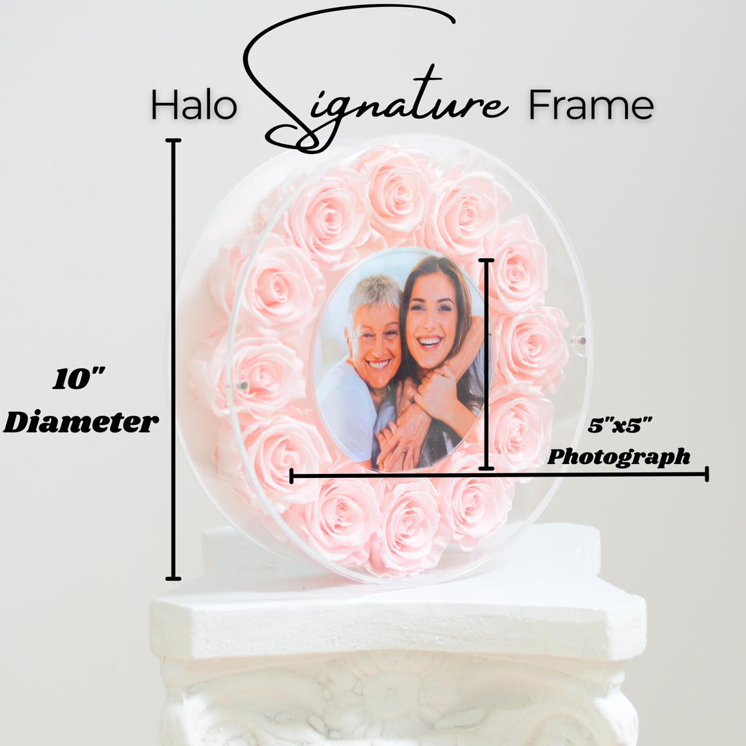 Round acrylic frame with preserved roses – Halo Signature