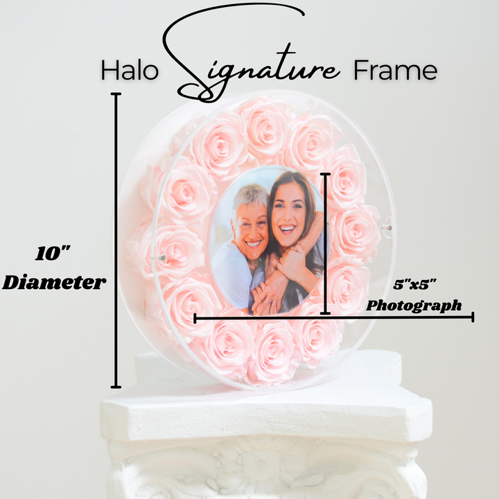 Round acrylic frame with preserved roses – Halo Signature