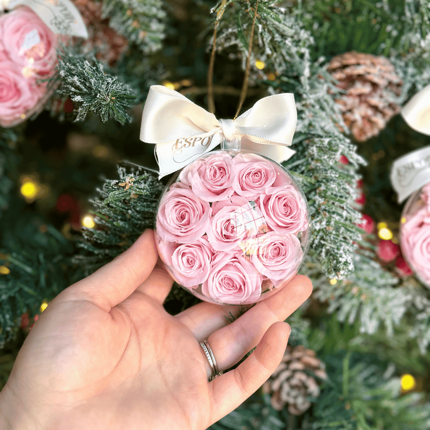 Round Holiday Preserved Rose Ornament