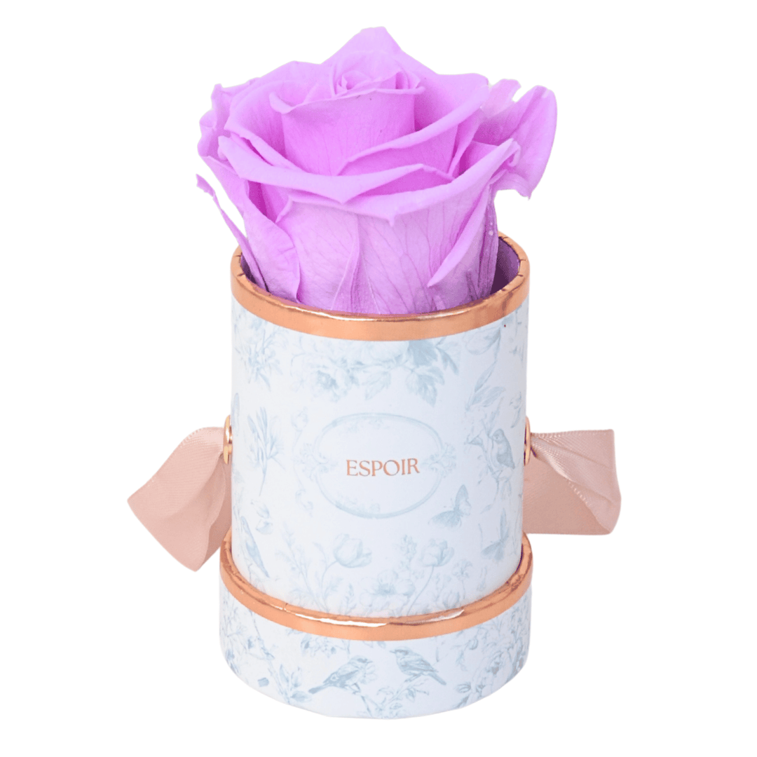 Toile d’Espoir Tea Cup Rose