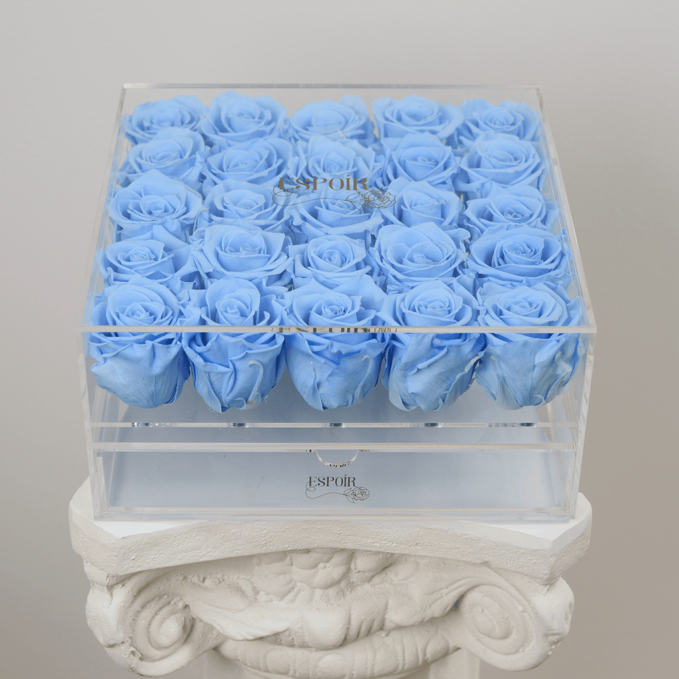 Acrylic Keepsake Grande - 25 Infinite Roses