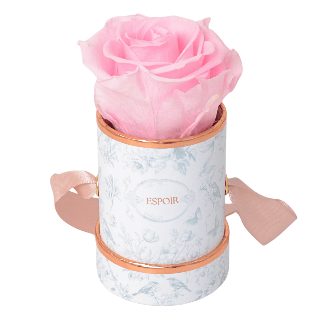 Toile d’Espoir Tea Cup Rose