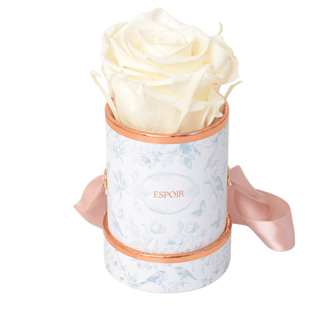 Toile d’Espoir Tea Cup Rose