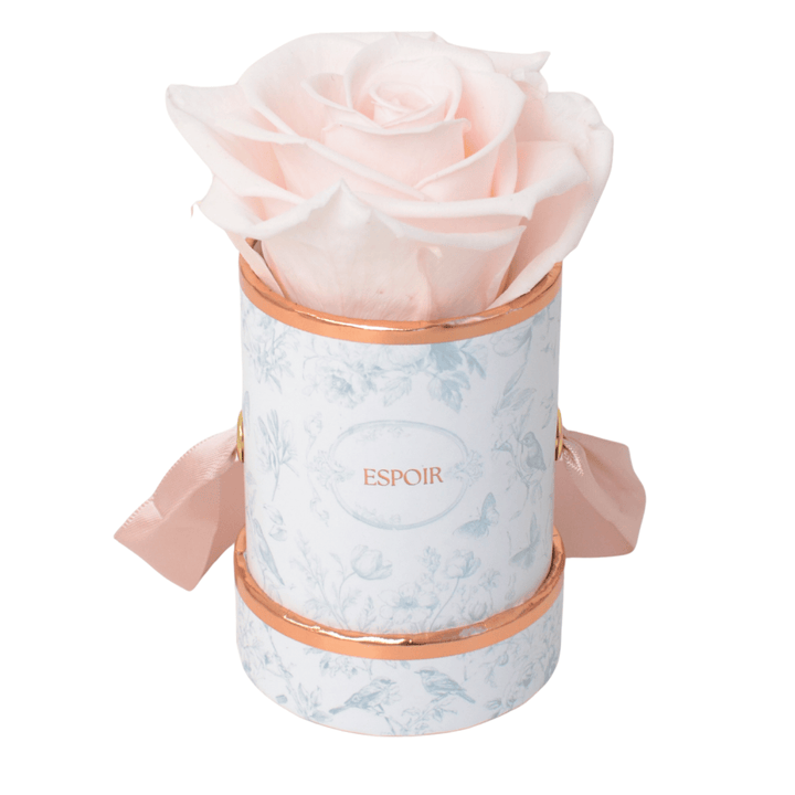 Toile d’Espoir Tea Cup Rose