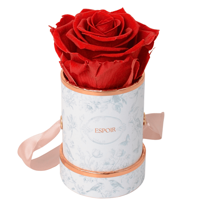Toile d’Espoir Tea Cup Rose