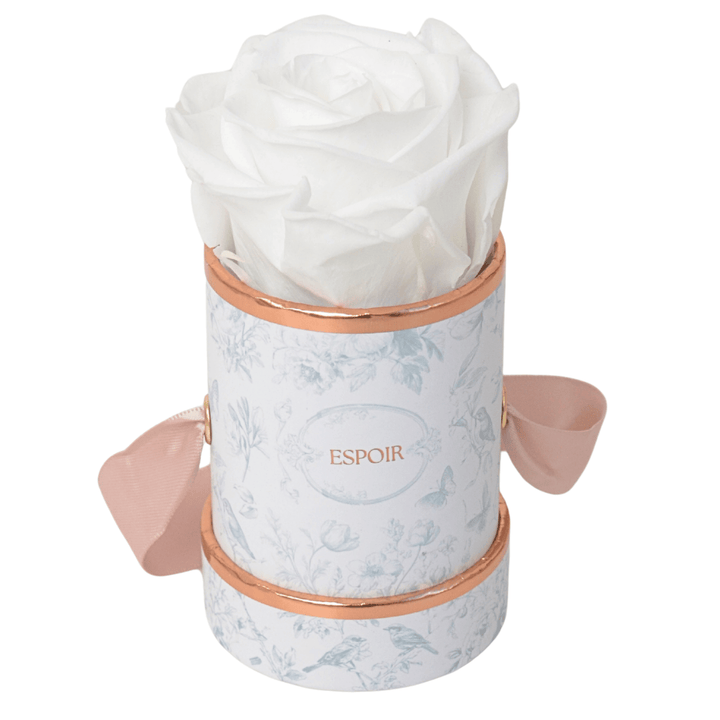Toile d’Espoir Tea Cup Rose