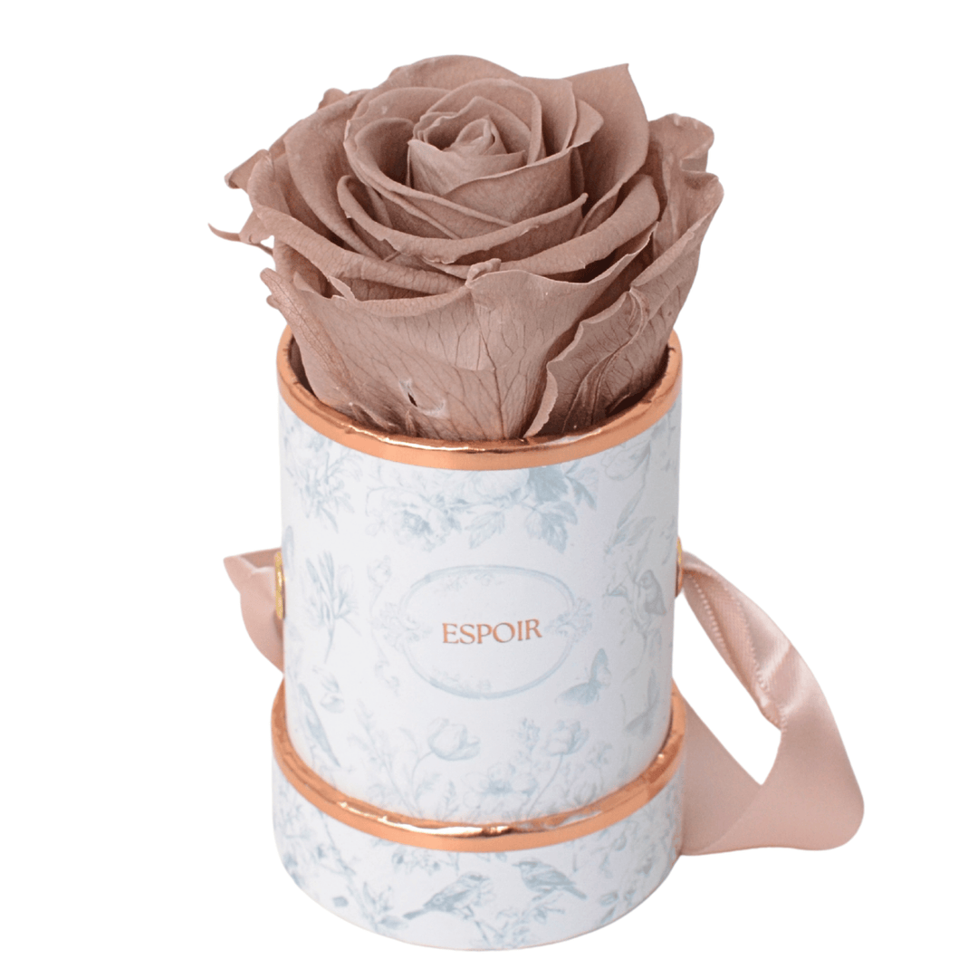 Toile d’Espoir Tea Cup Rose