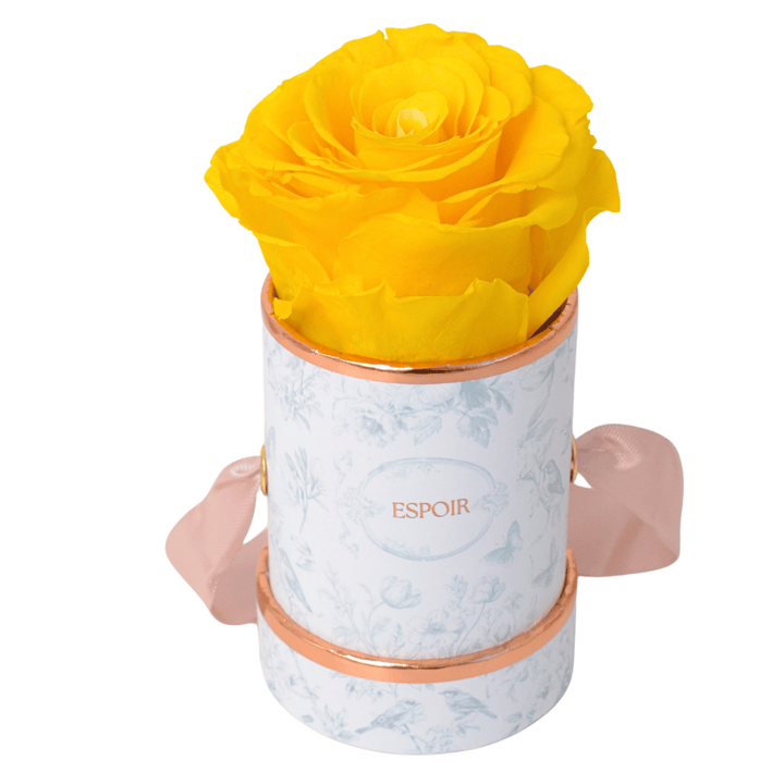 Toile d’Espoir Tea Cup Rose