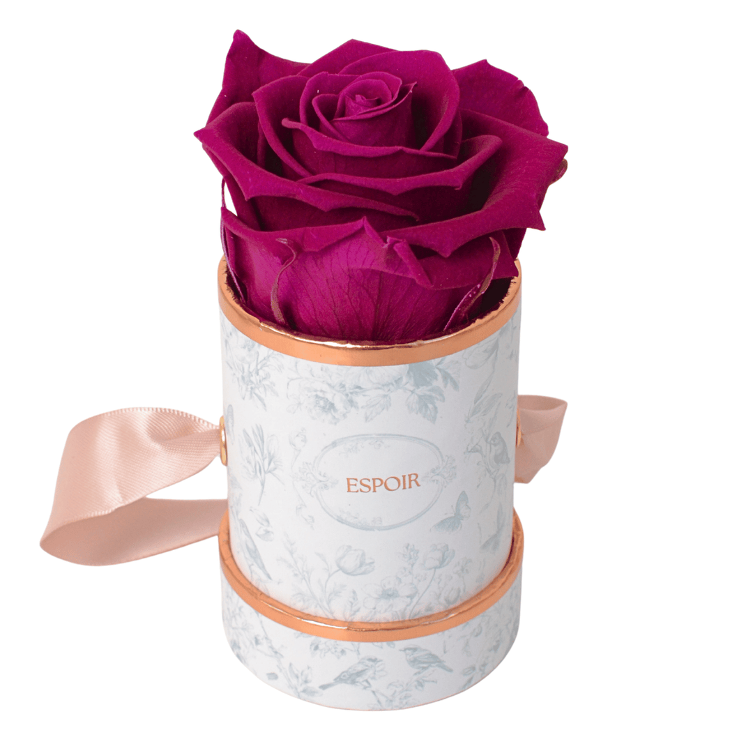 Toile d’Espoir Tea Cup Rose