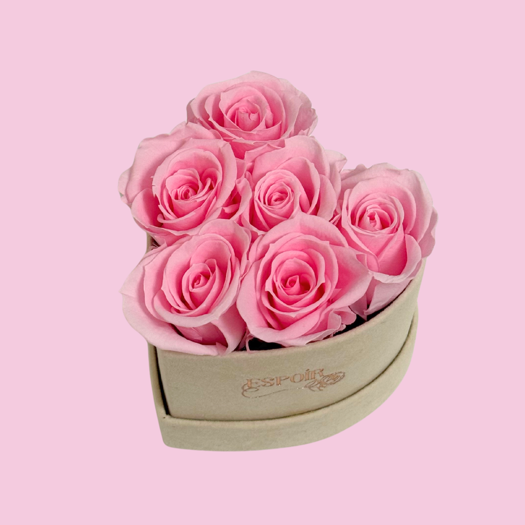Suede Heart-Shaped Box of Preserved Roses