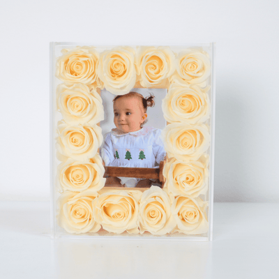 Infinite Rose Frame Compact Series: Premium Acrylic Picture Frame with Preserved Roses