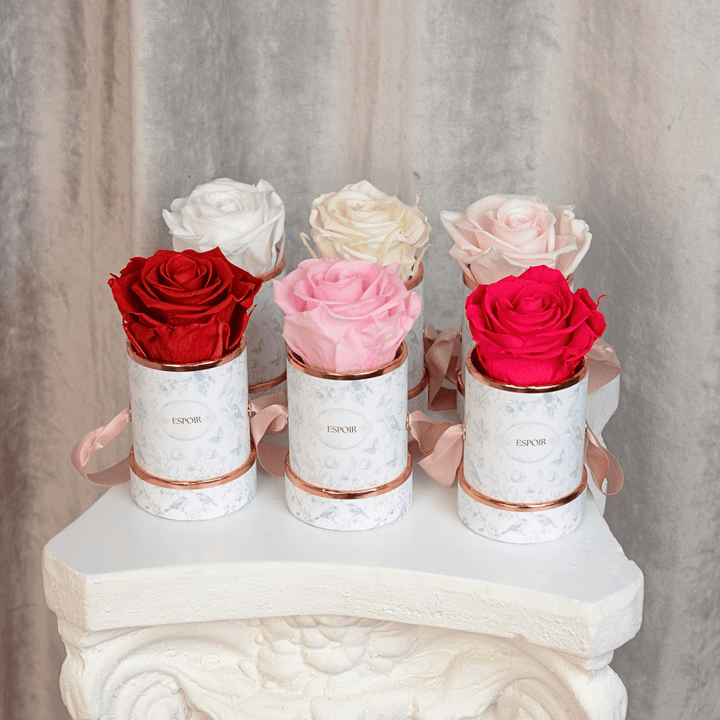Toile d’Espoir Tea Cup Rose