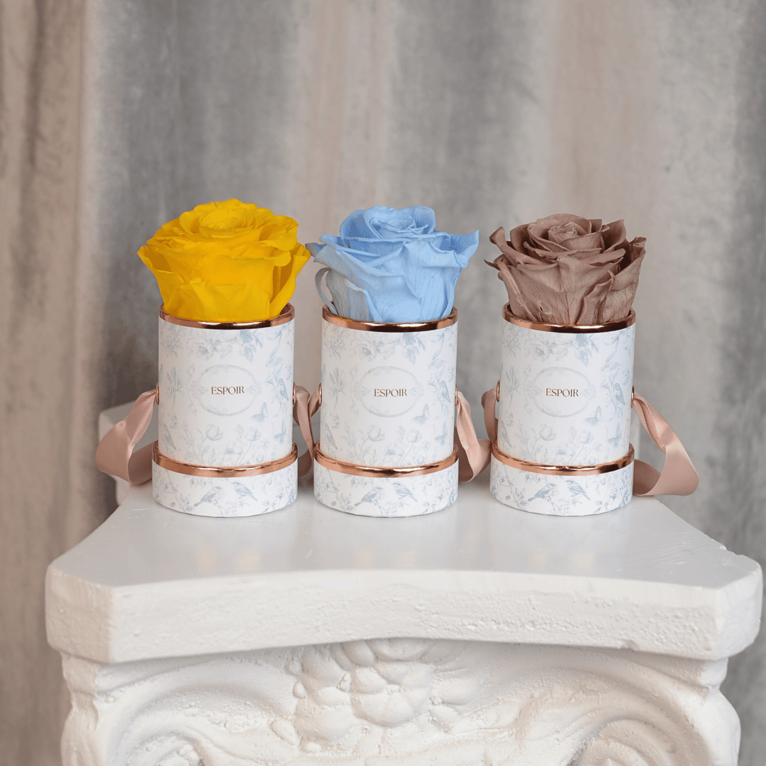 Toile d’Espoir Tea Cup Rose