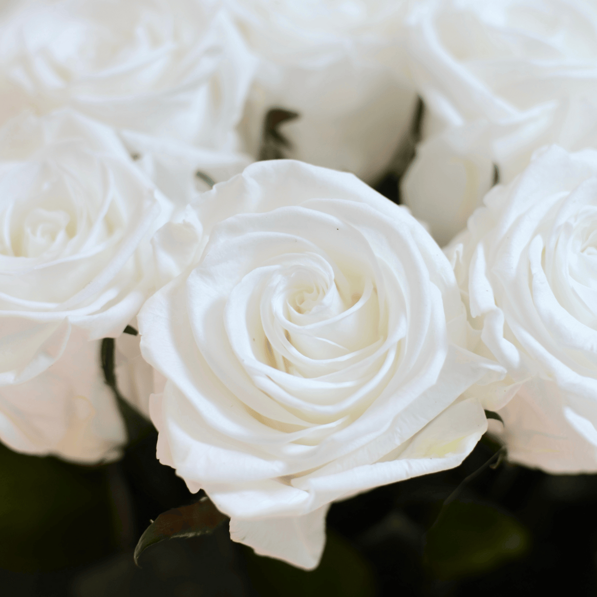 The Aurora Ceramic Vase with Forever Rose Bouquet