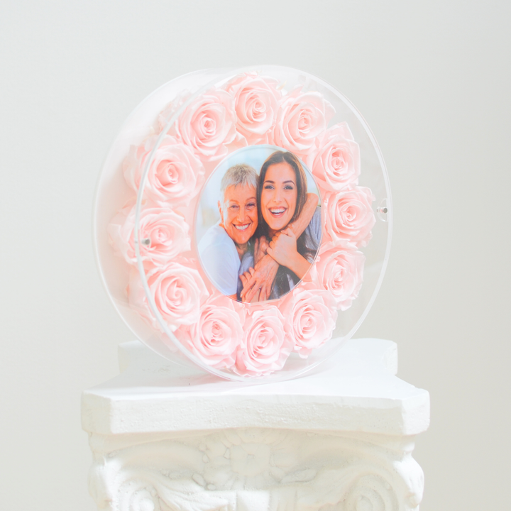 Original photograph of the blush large Halo preserved rose frame, angle view on a white pedestal