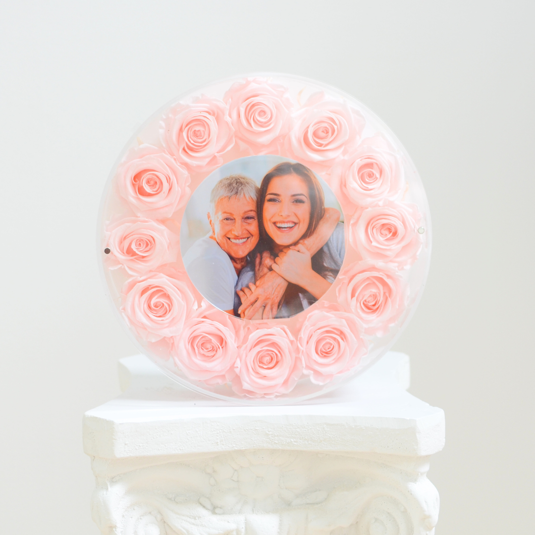 Original photograph of the blush large Halo preserved rose frame, front view on a white pedestal