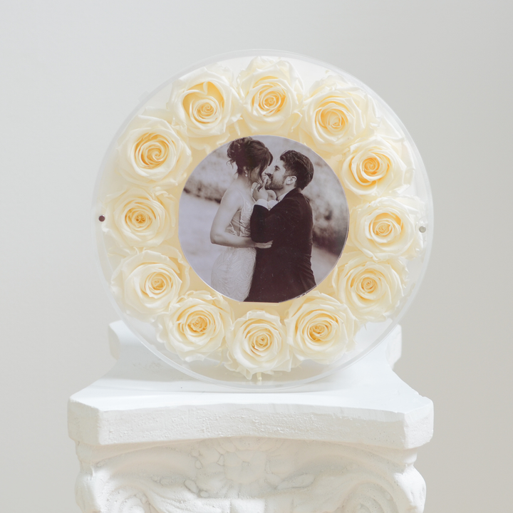 Original photograph of the cream large Halo preserved rose frame, front view on a white pedestal