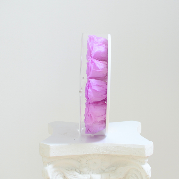 Original photograph of the lilac large Halo preserved rose frame, side profile view on a white pedestal