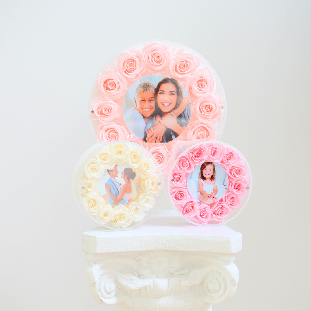 Original photograph of large and small Halo preserved rose frames together on a white pedestal