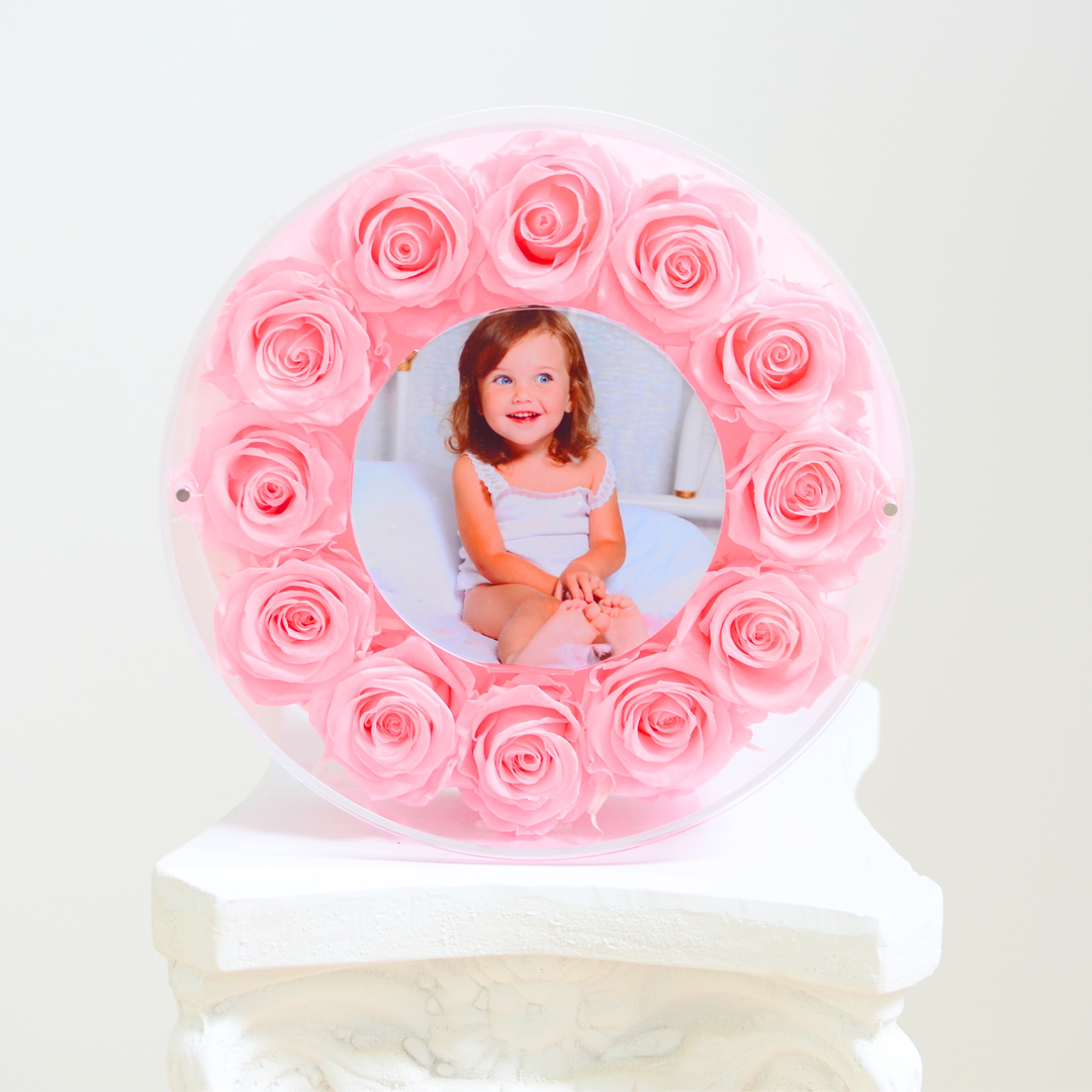 Original photograph of the pink large Halo preserved rose frame, front view on a white pedestal