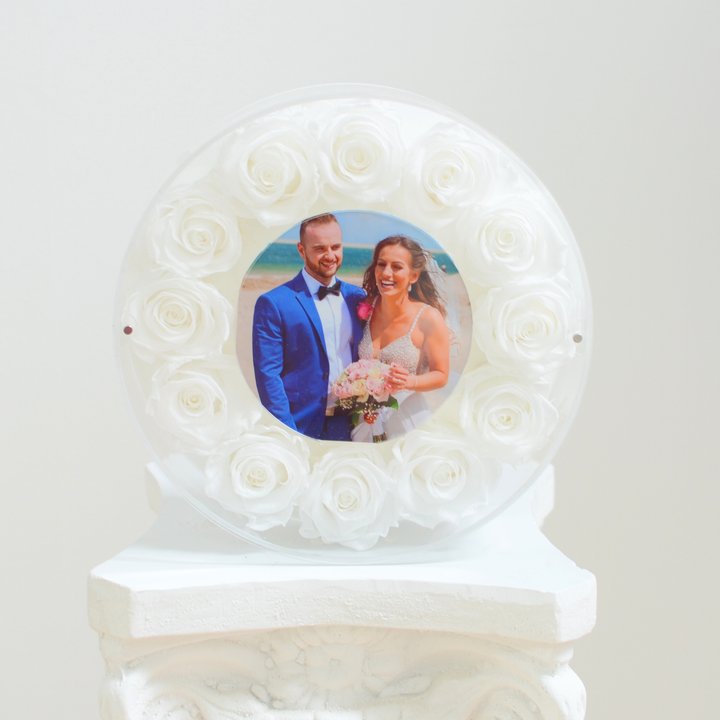 Original photograph of the white large Halo preserved rose frame, front view on a white pedestal