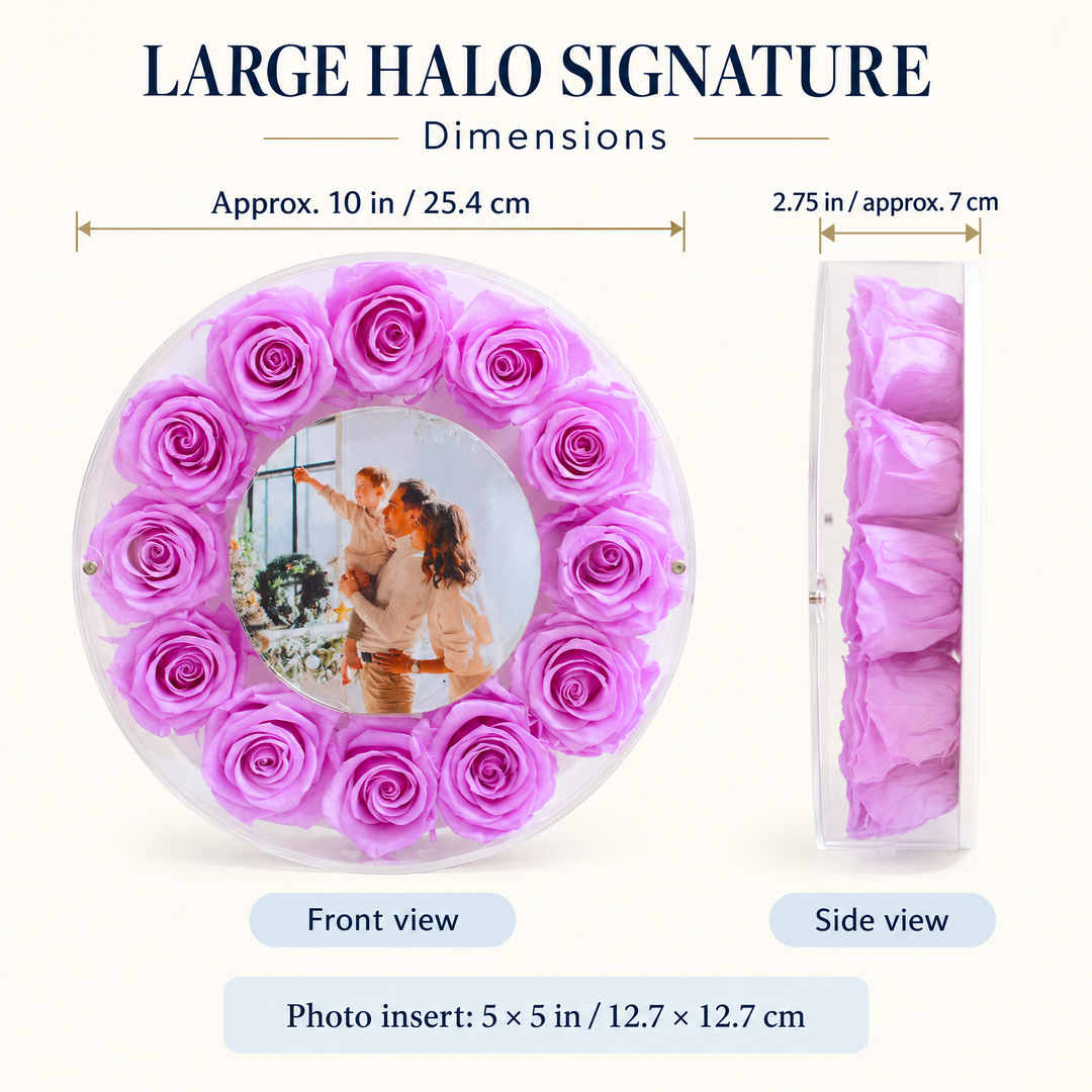 Large Halo frame dimensions: approximately 10-inch diameter, 2.75-inch depth and 5 by 5-inch photo insert