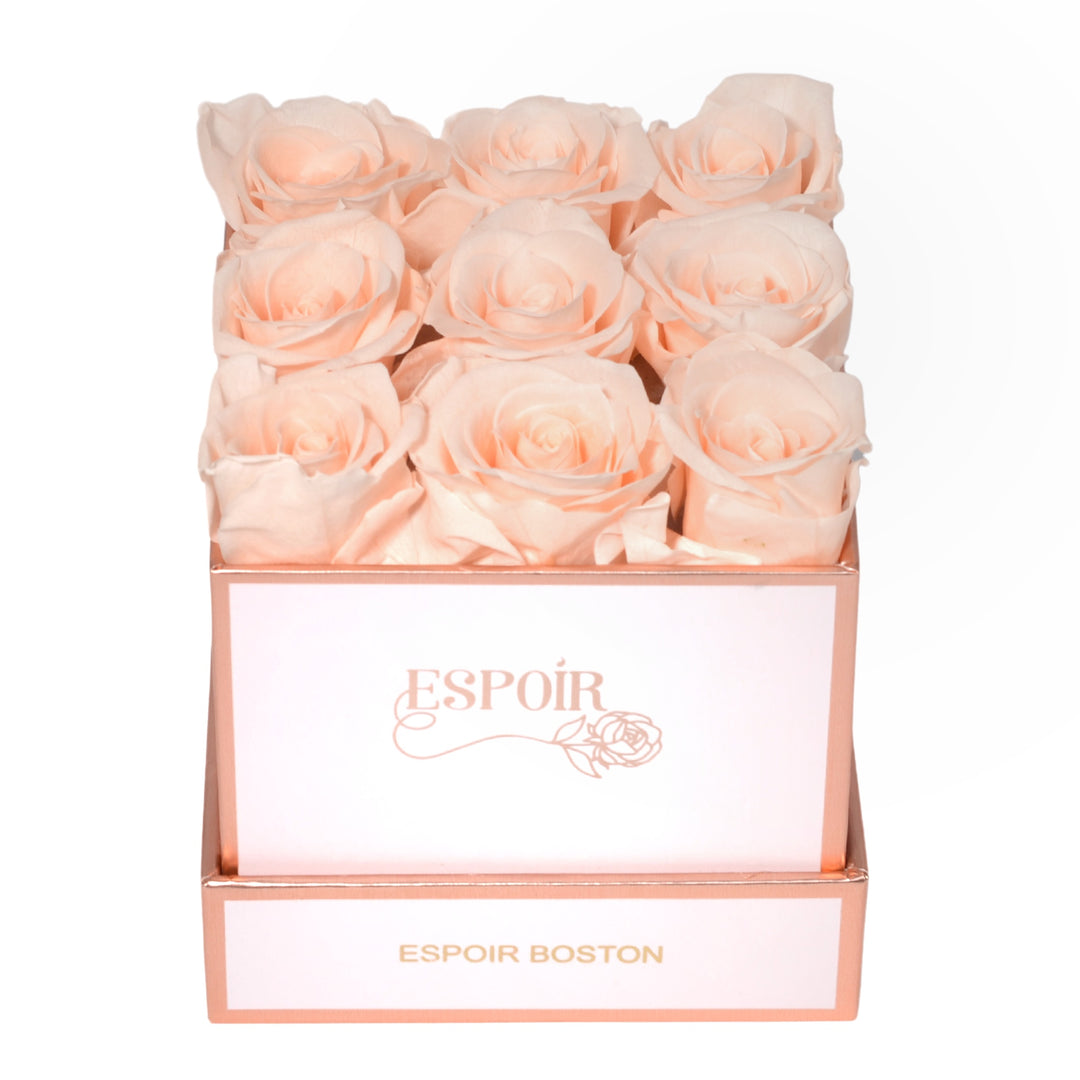 Petite Bloom Box - 9 roses