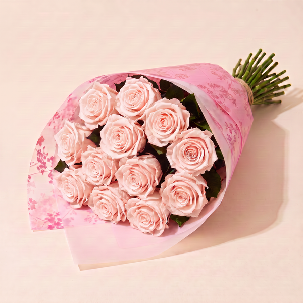 Dozen preserved roses in pink floral wrap - Blush