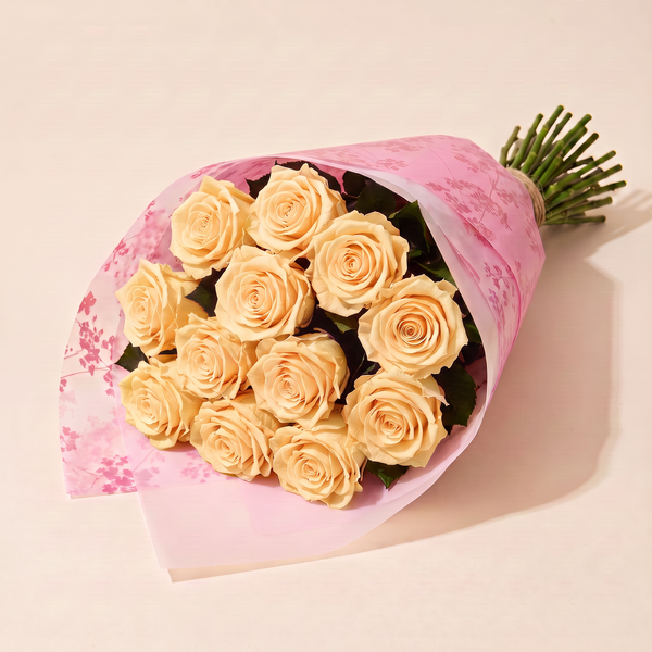 Dozen preserved roses in pink floral wrap - Buttermilk