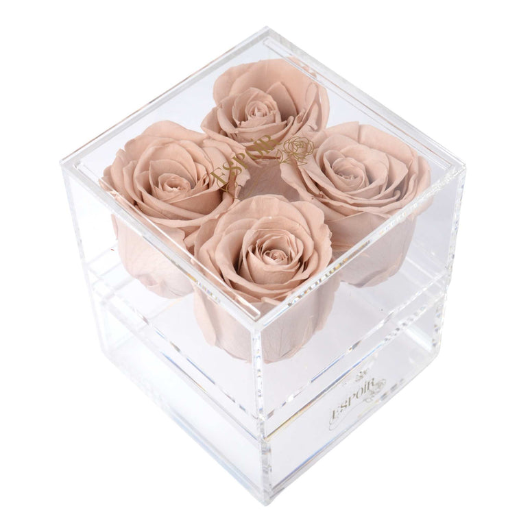 Four Rose Jewelry Box