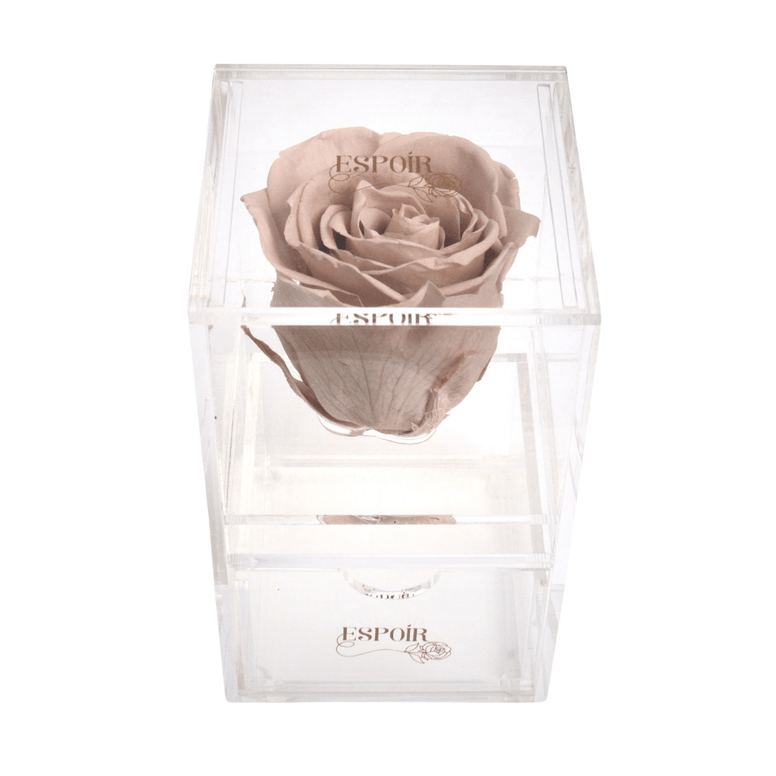 Serenity Rose Jewelry box