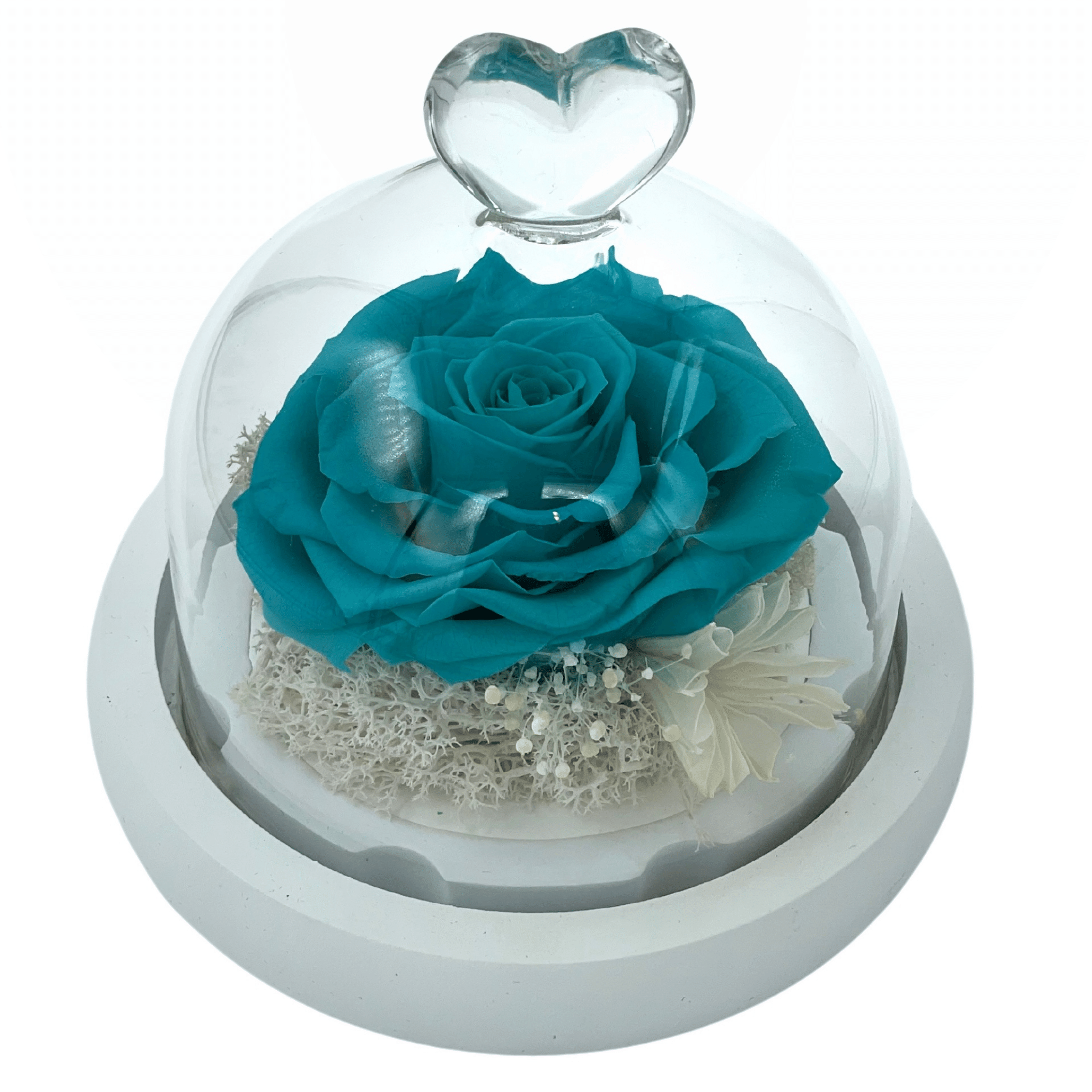 Tiffany Blue Preserved Rose in Heart Tipped Glass Dome
