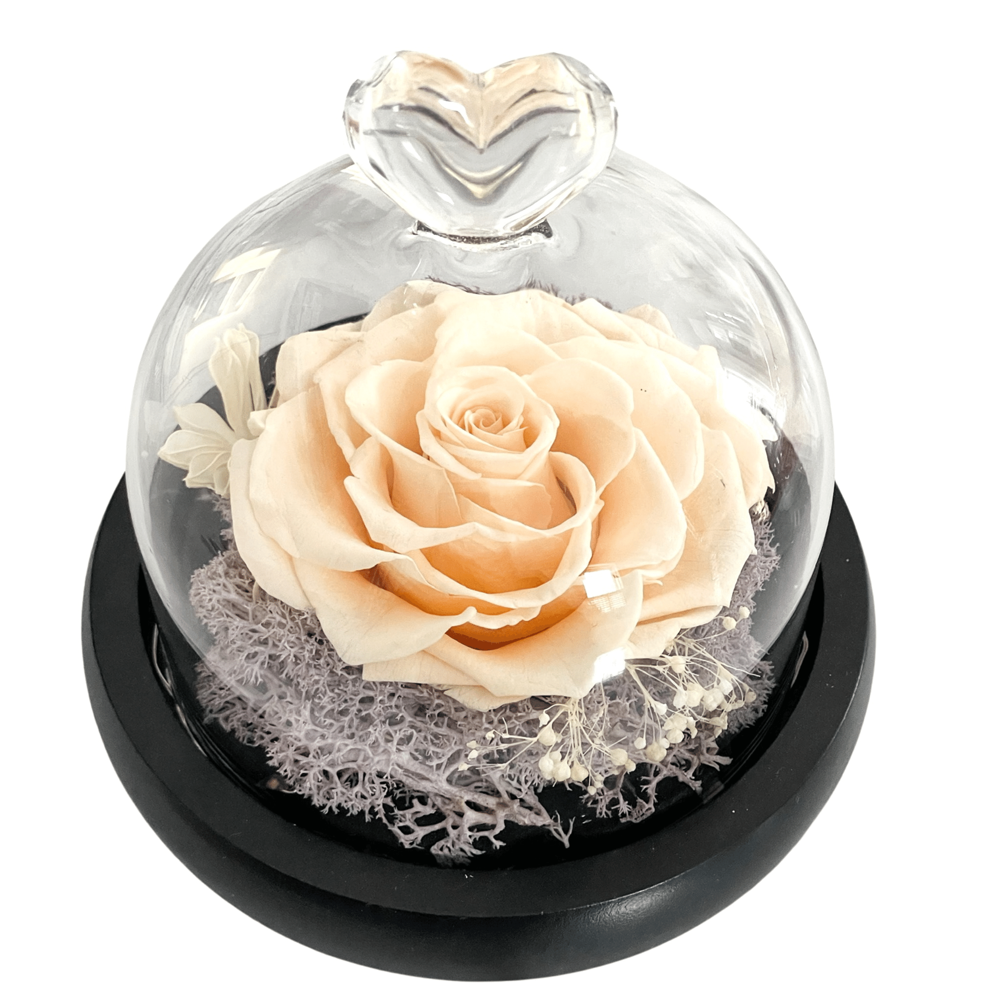 Peach Preserved Rose in Heart Tipped Glass Dome