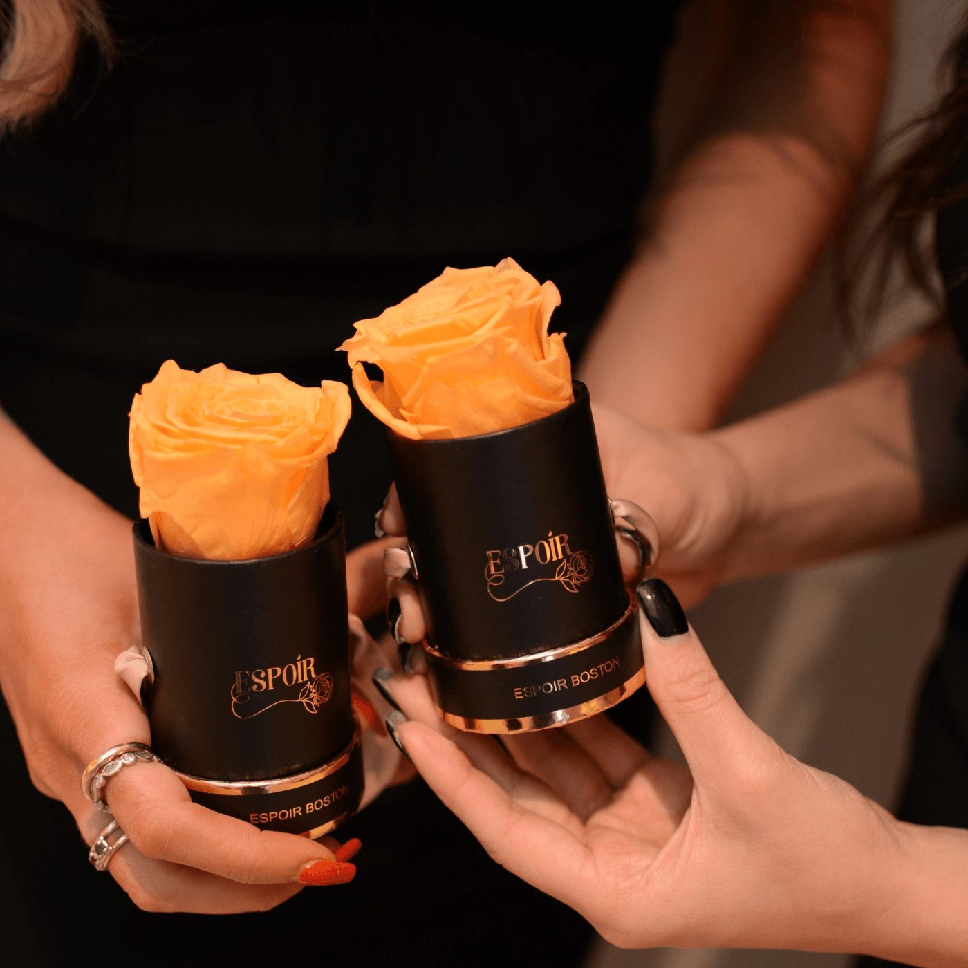 Pumpkin Spice Tea Cup Rose