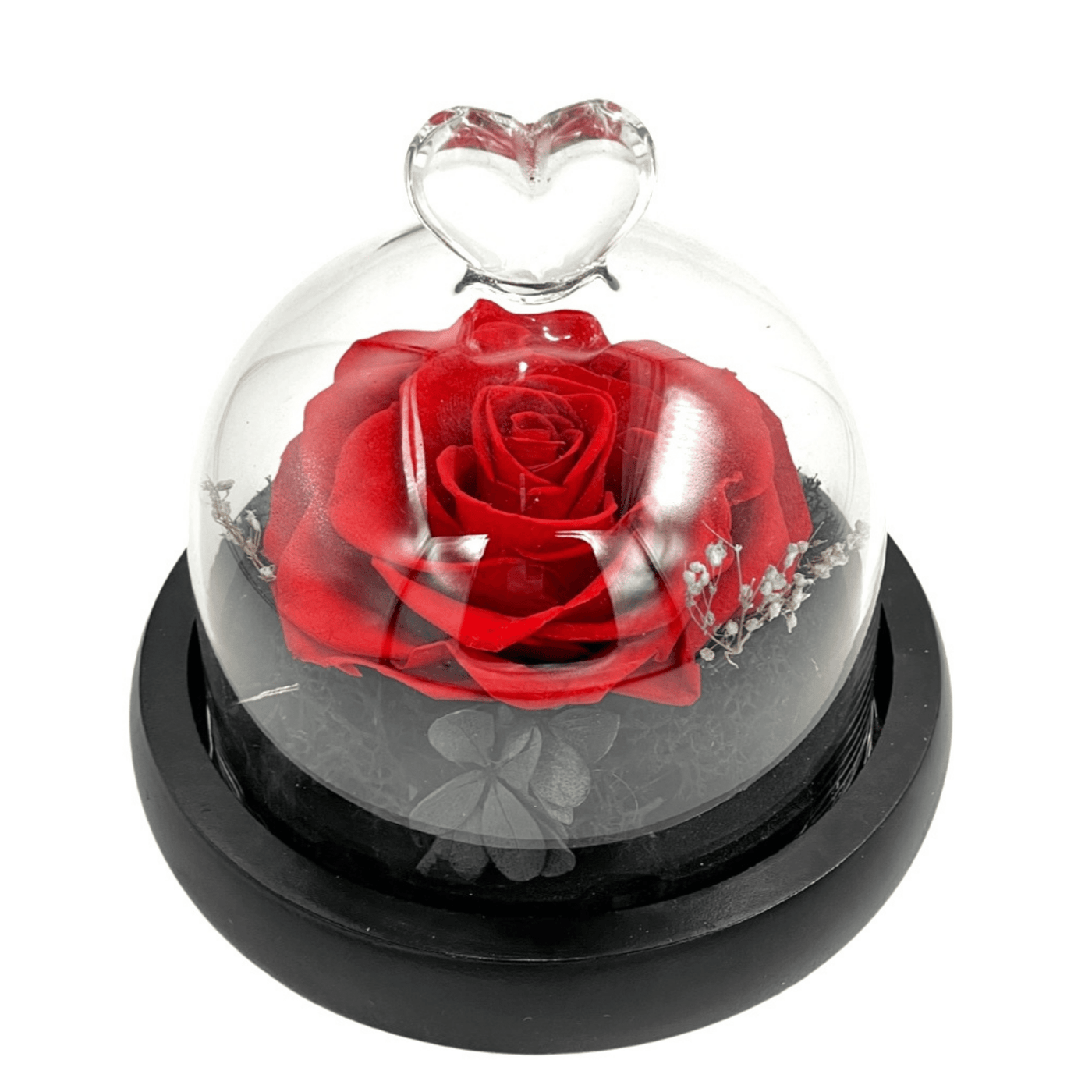 Red Preserved Rose in Heart Tipped Glass Dome