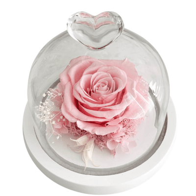 Pink Preserved Rose in Heart Tipped Glass Dome