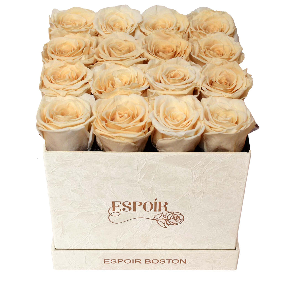 Large Cream Suede Square - 16 Roses