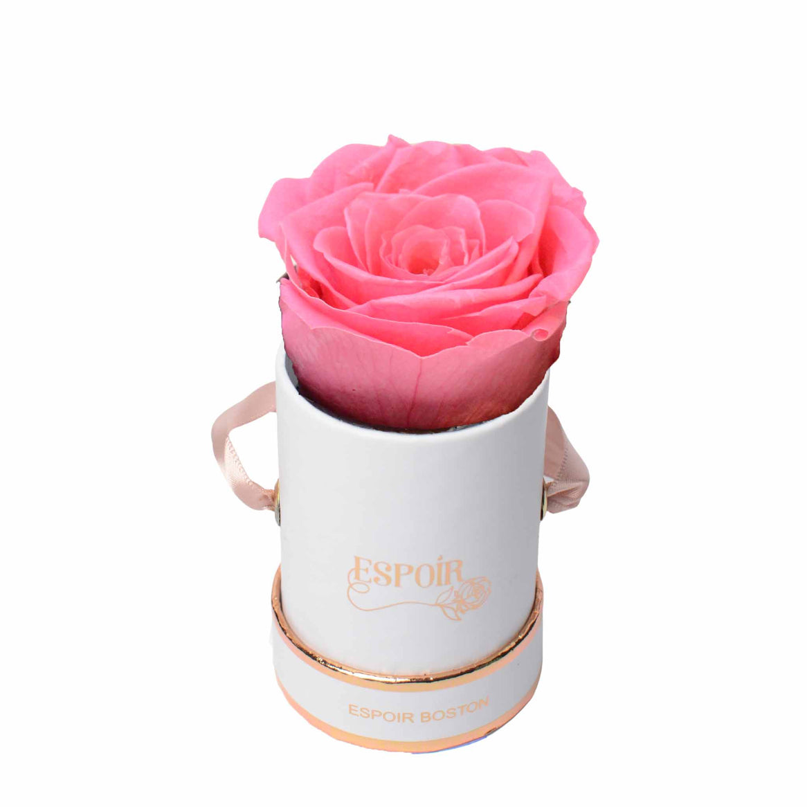 The Tea Cup Rose