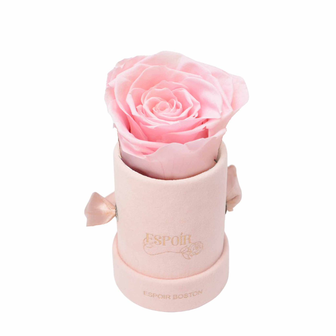 Eternal Flower Cup】Pink Rose Cup - Shop WHAT_FUN Items for Display - Pinkoi